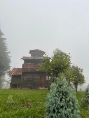 Bosque de Niebla